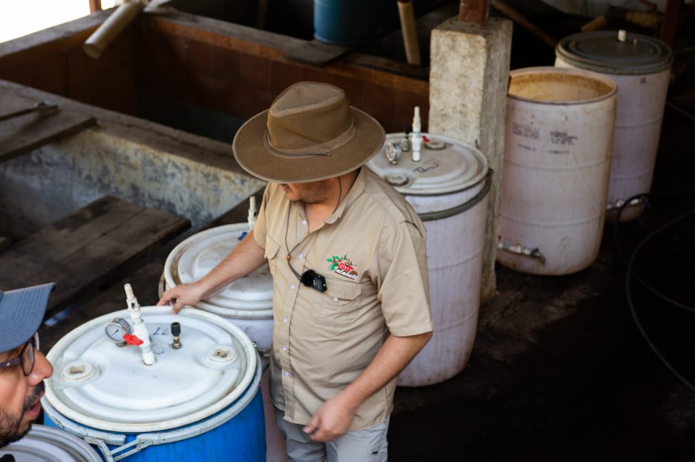Slave to the grind | Finca Calahute