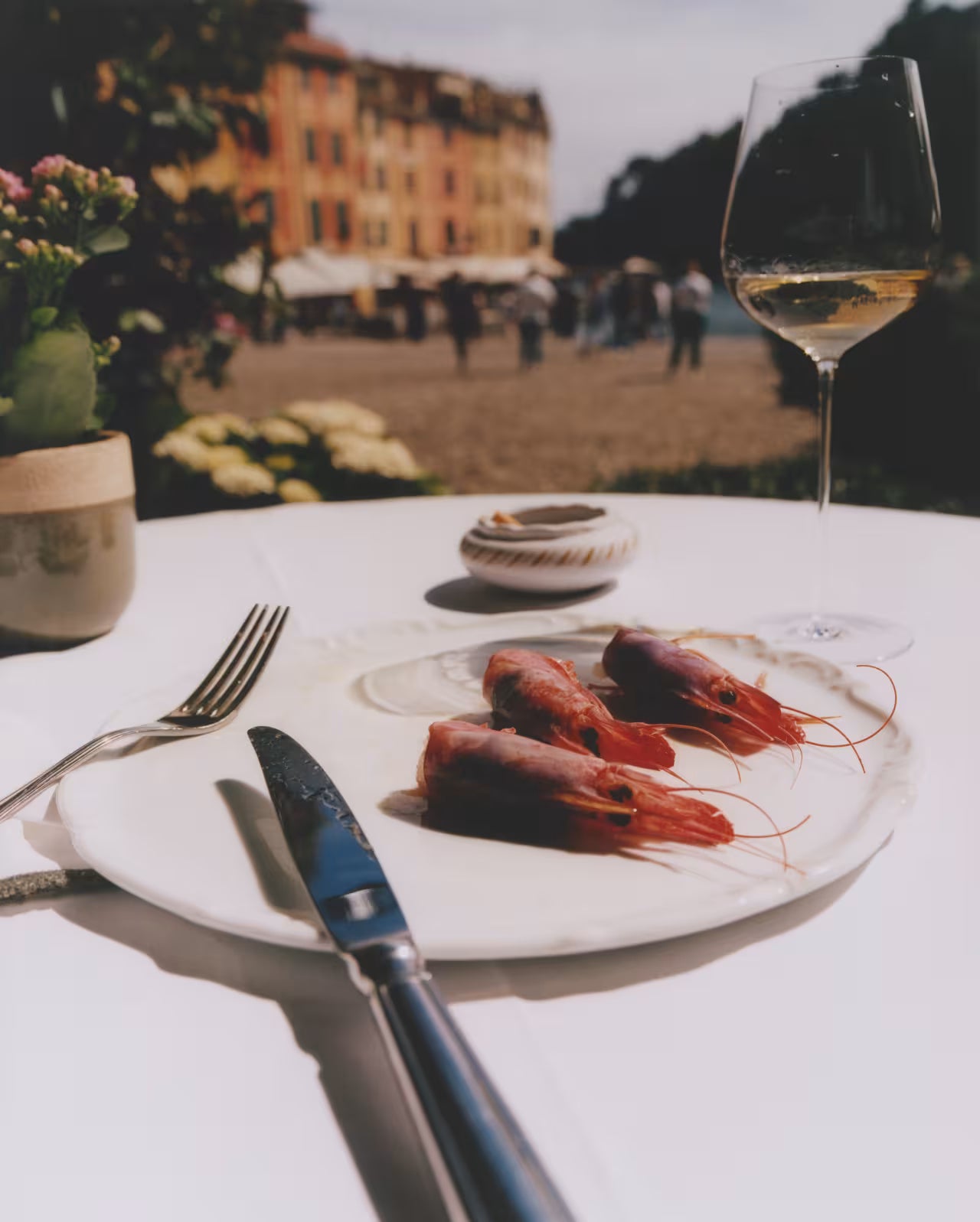 LIGURIA: Recipes & Wanderings Along the Italian Riviera
